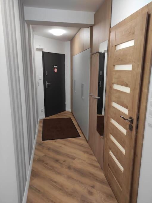 Apartament 17 Szklarski Шклярска-Поремба Экстерьер фото